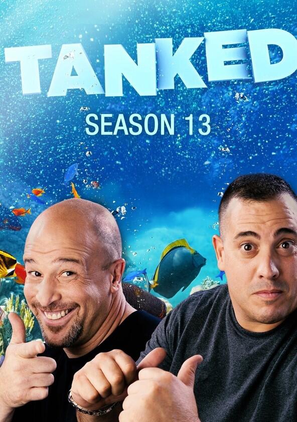 Tanked - Season 13