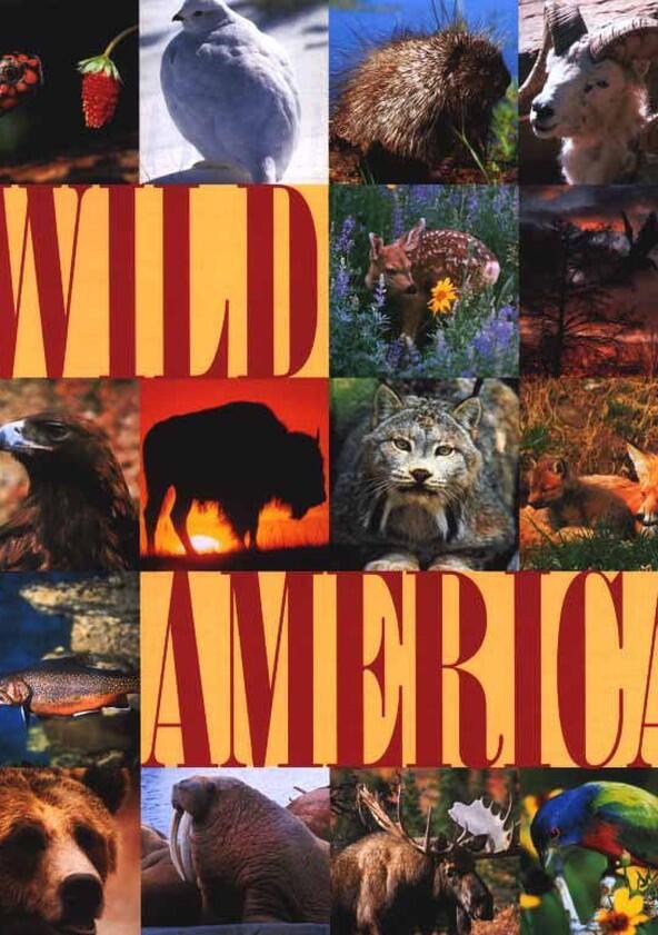 Marty Stouffer's Wild America - Season 1