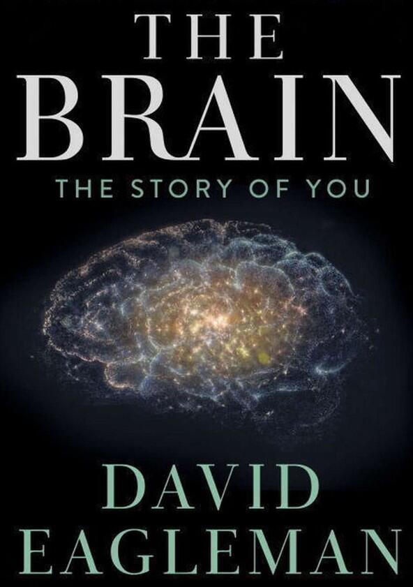 The Brain with David Eagleman - Season 1