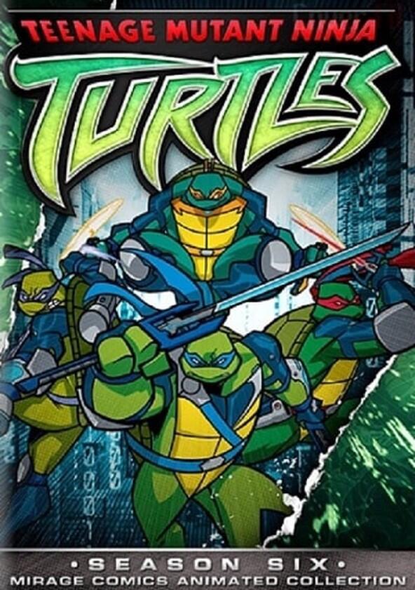 Teenage Mutant Ninja Turtles - Season 6