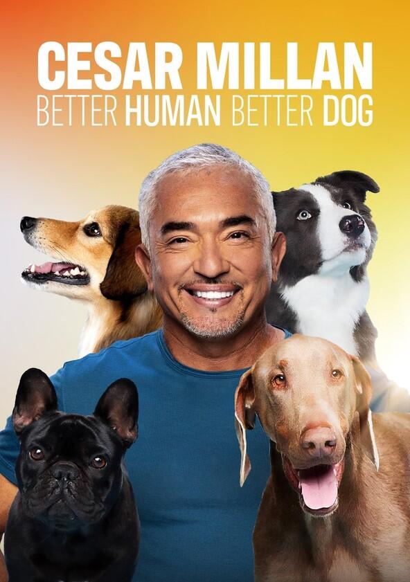 Cesar Millan: Better Human Better Dog - Season 4