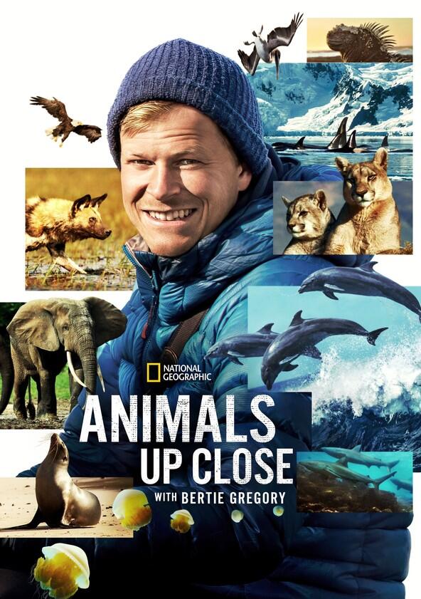 Animals Up Close with Bertie Gregory - Season 1