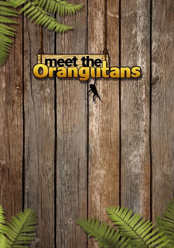 Meet the Orangutans - Season 1