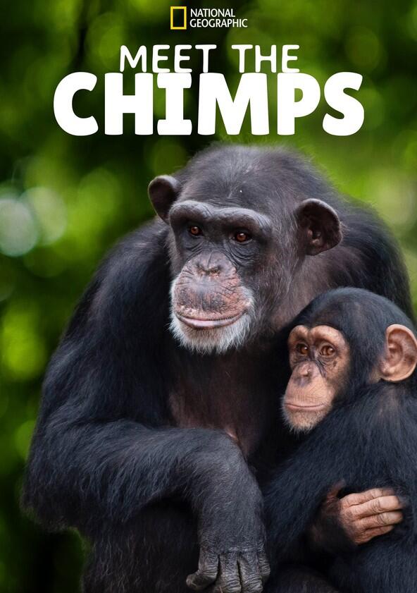 Meet the Chimps - Season 1