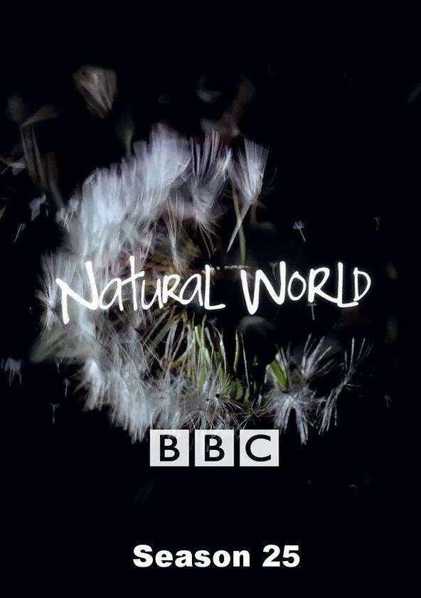 Natural World - Season 25