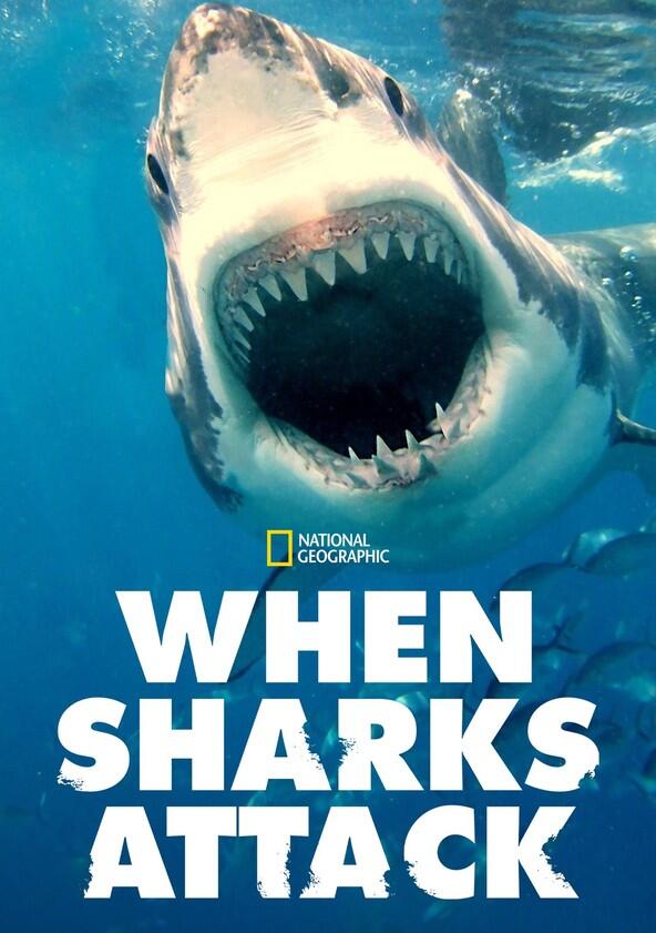 When Sharks Attack - Season 5