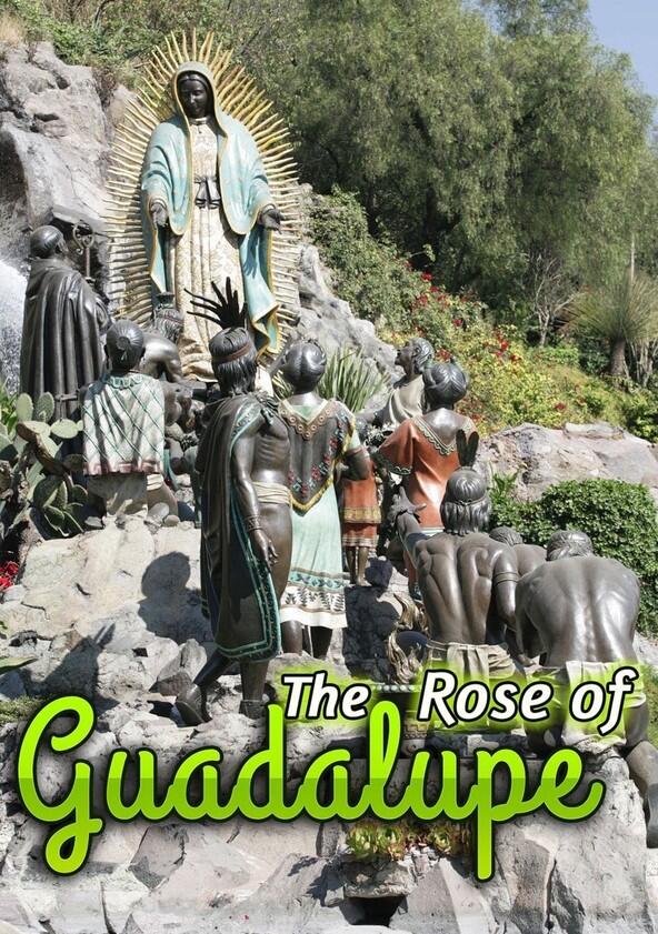 La rosa de Guadalupe - Season 1