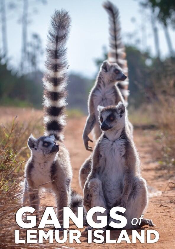 Gangs of Lemur Island - Season 1