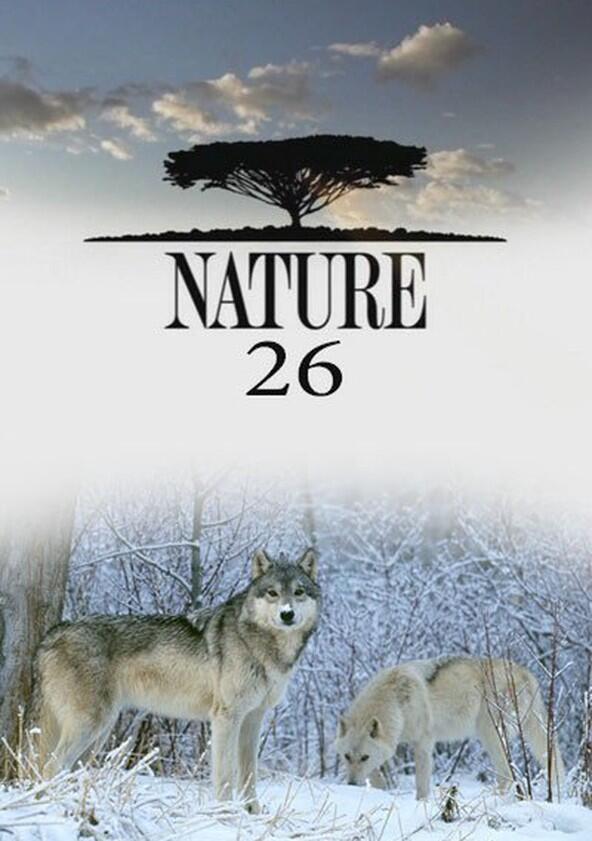 Nature - Season 26