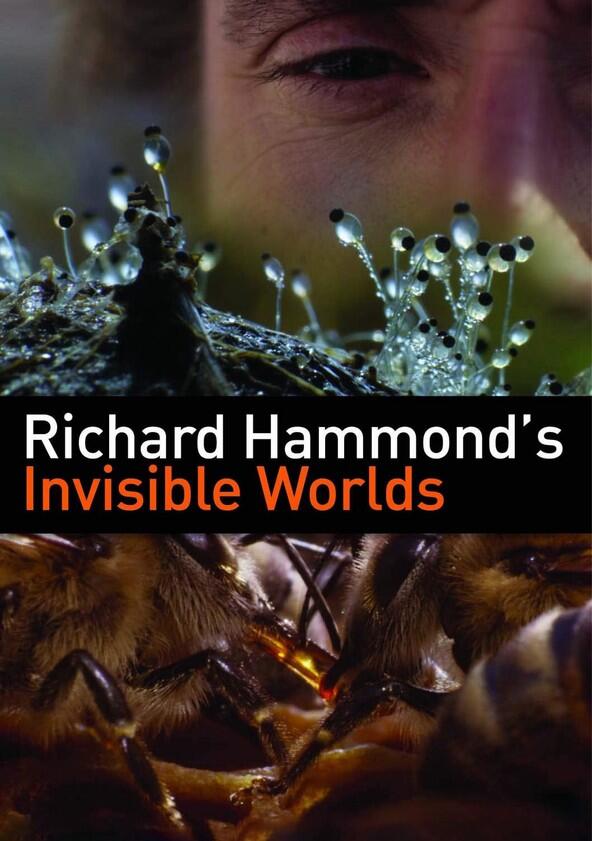 Richard Hammond's Invisible Worlds - Season 1