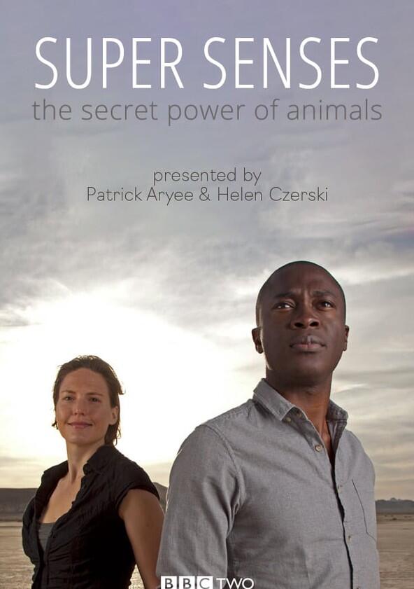 Super Senses: The Secret Power of Animals - Season 1