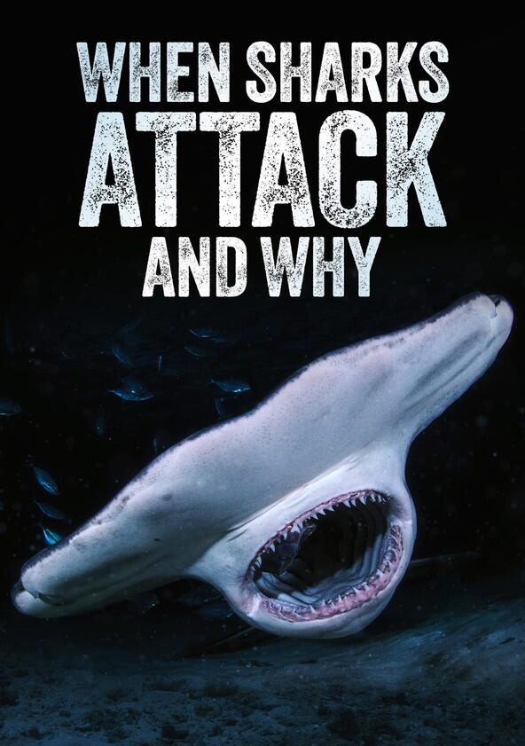 When Sharks Attack... And Why - Season 1