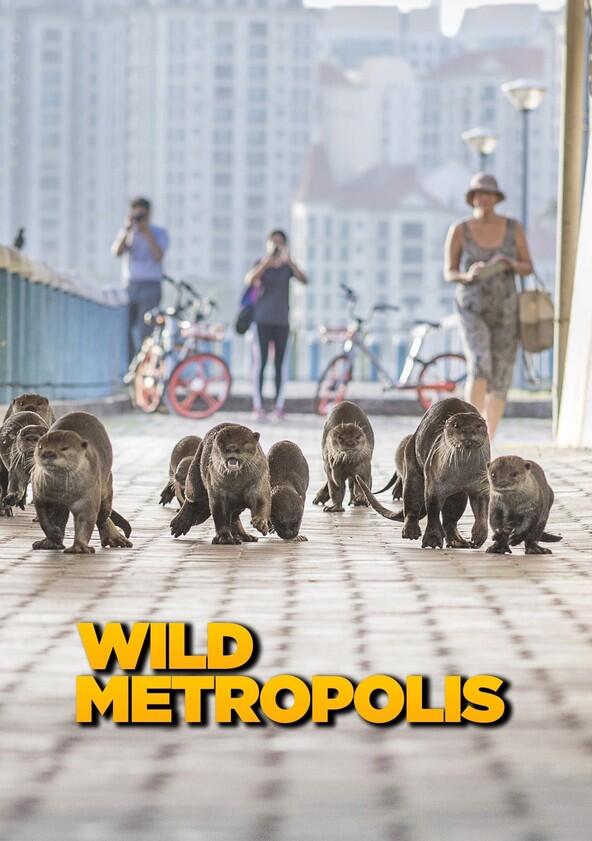 Wild Metropolis - Season 1