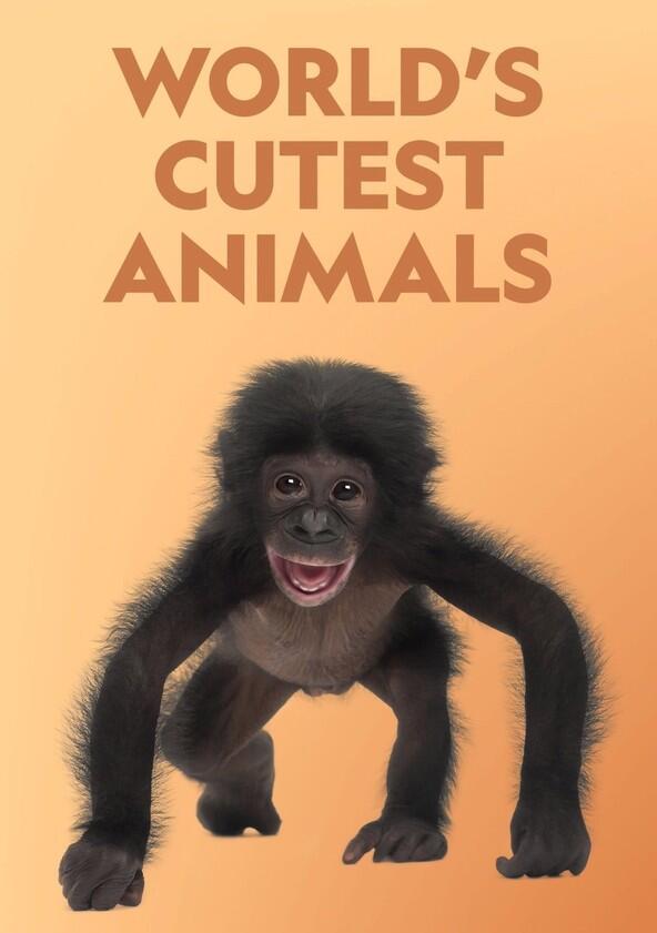 World's Cutest Animals - Season 1