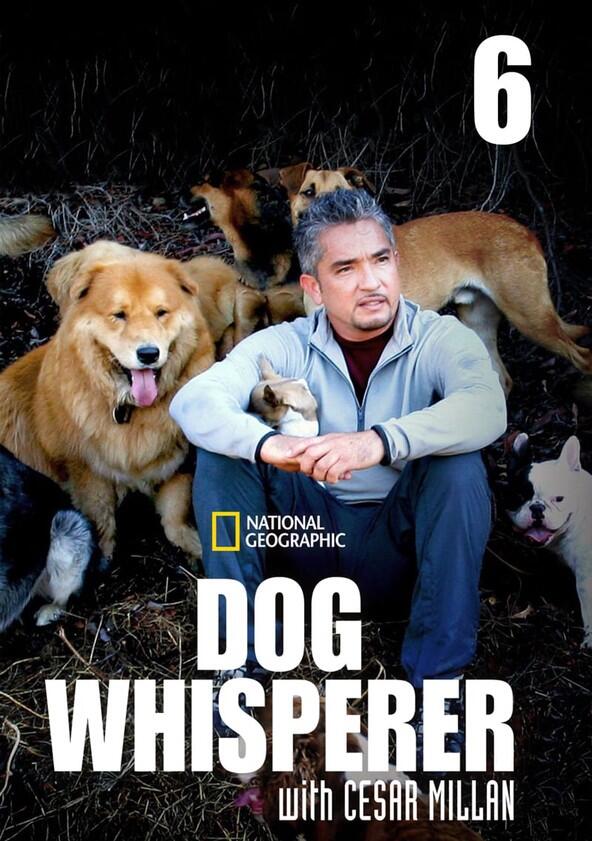 The Dog Whisperer - Season 6