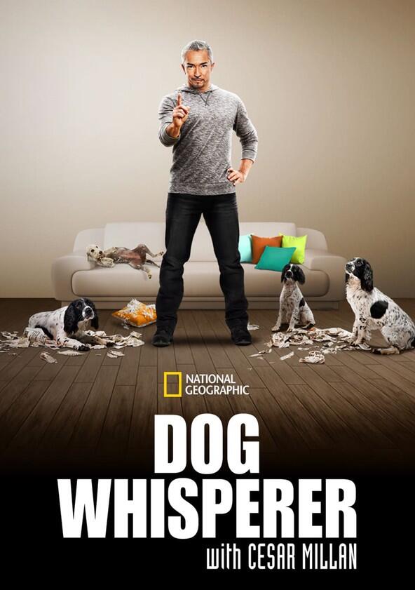 The Dog Whisperer - Season 9