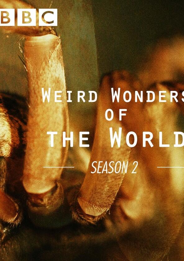 Weird Wonders of the World - Season 2