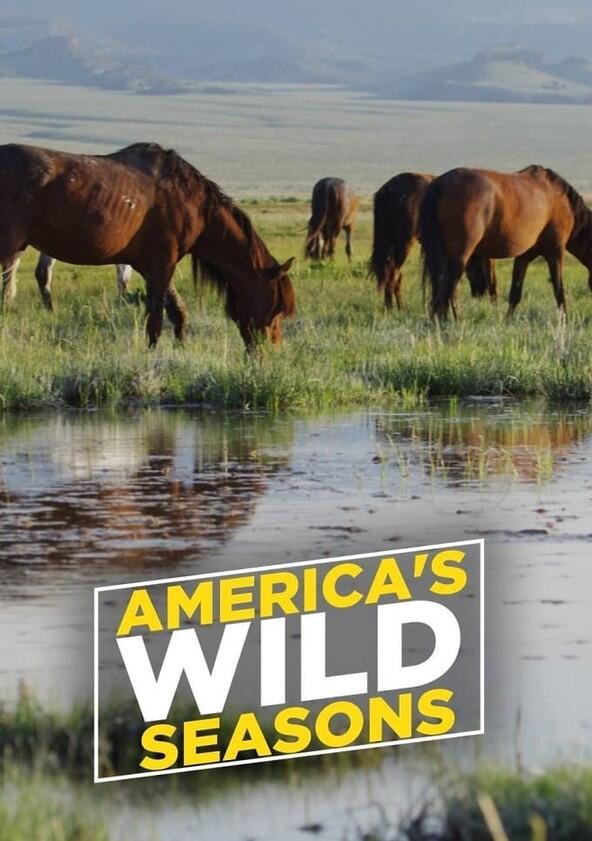 America's Wild Seasons - Season 1