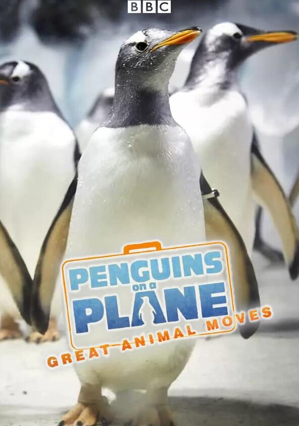 Penguins on a Plane: Great Animal Moves - Season 1