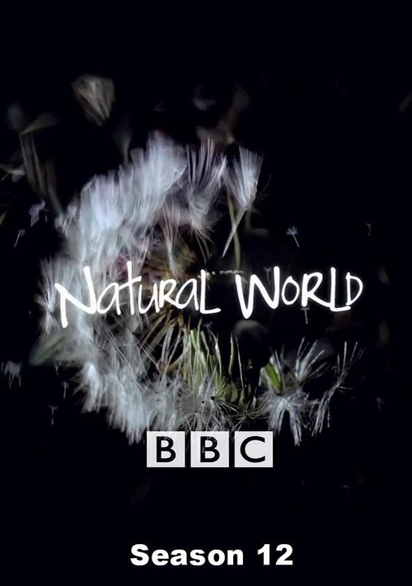 Natural World - Season 12