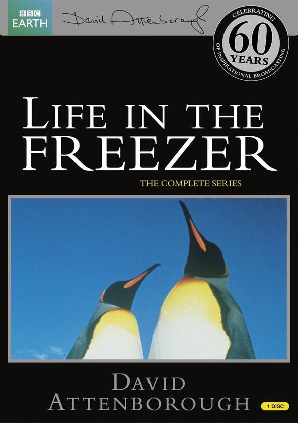 Life in the Freezer - Season 1