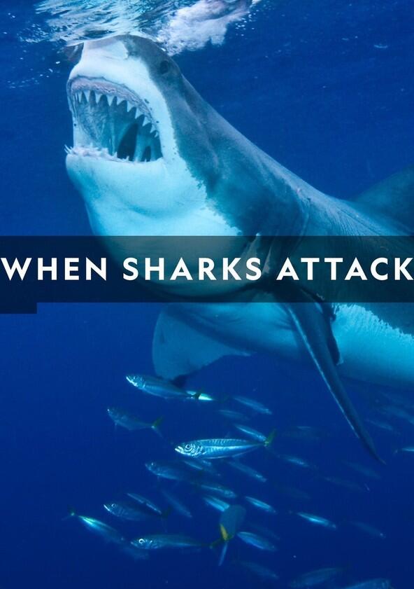 When Sharks Attack - Season 6