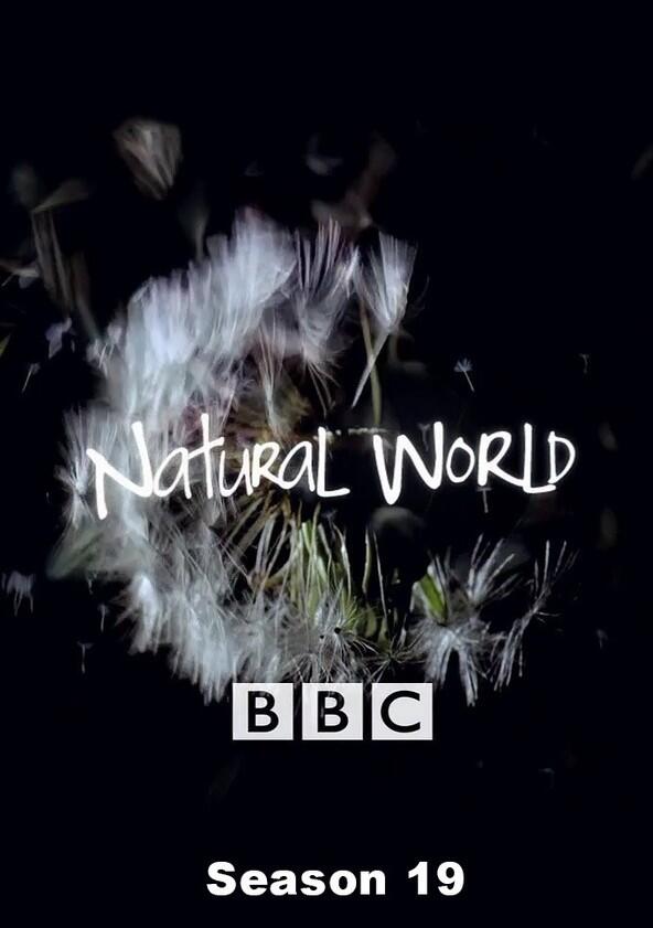 Natural World - Season 19