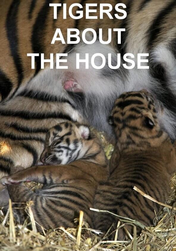 Tigers About the House - Season 1