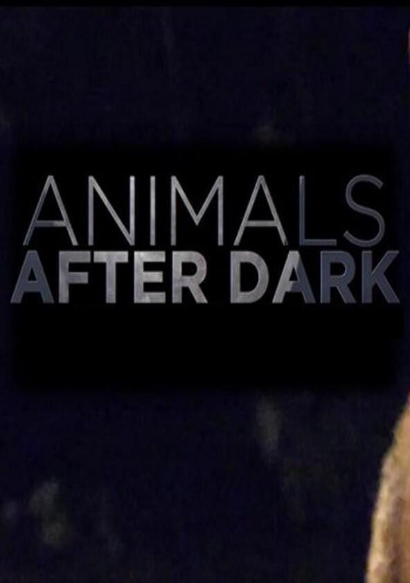 Animals After Dark - Season 1