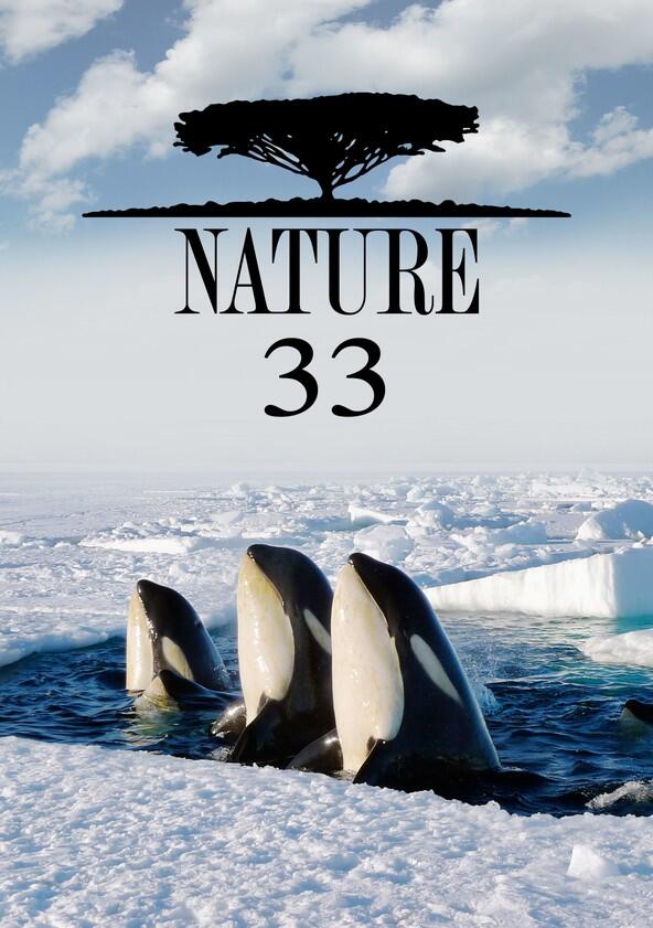 Nature - Season 33