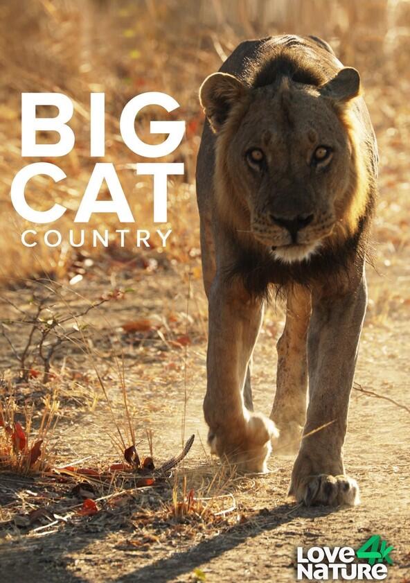 Big Cat Country - Season 1