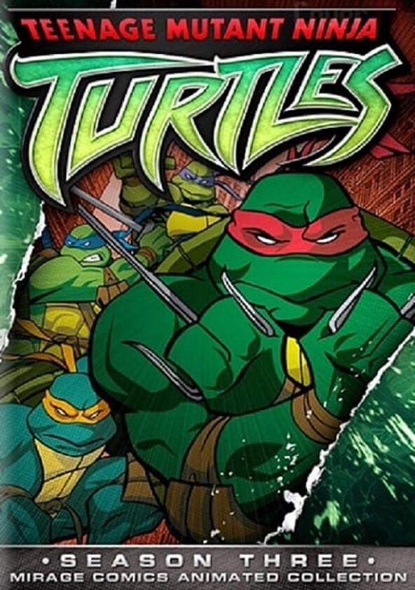 Teenage Mutant Ninja Turtles - Season 3