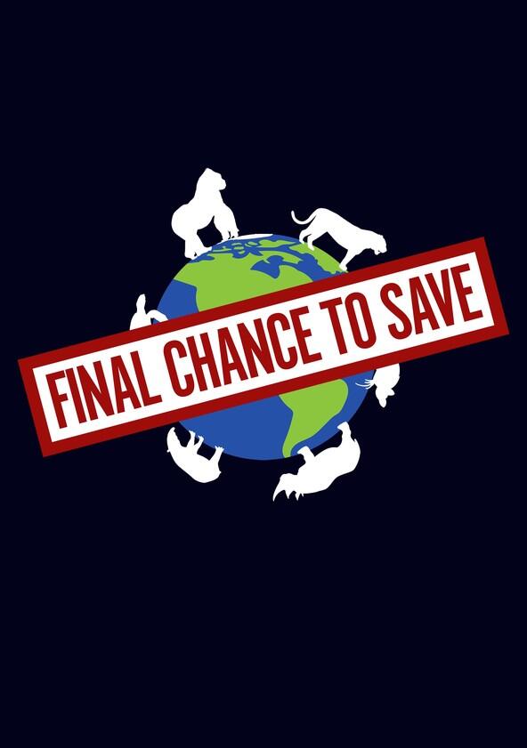 Final Chance to Save