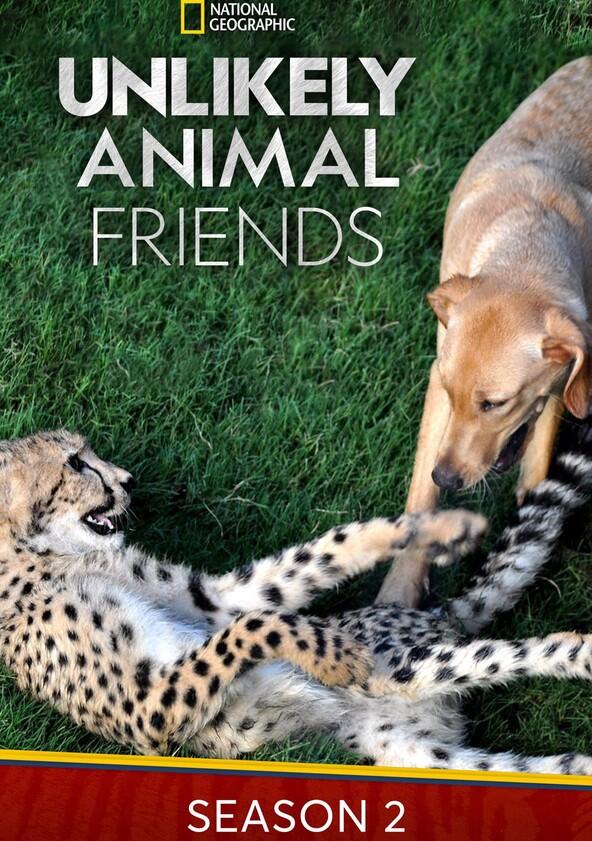 Unlikely Animal Friends - Season 2