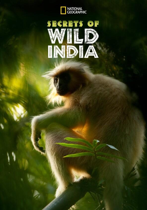 Secrets of Wild India - Season 1