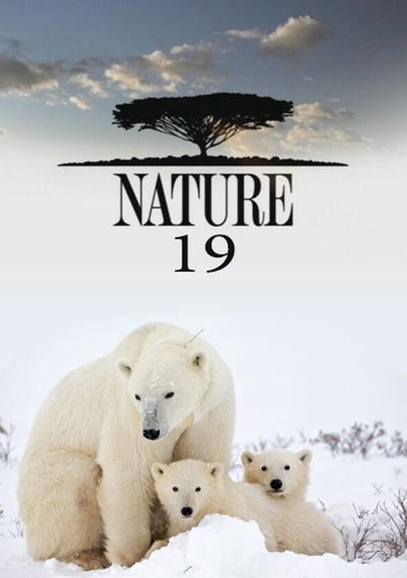 Nature - Season 19