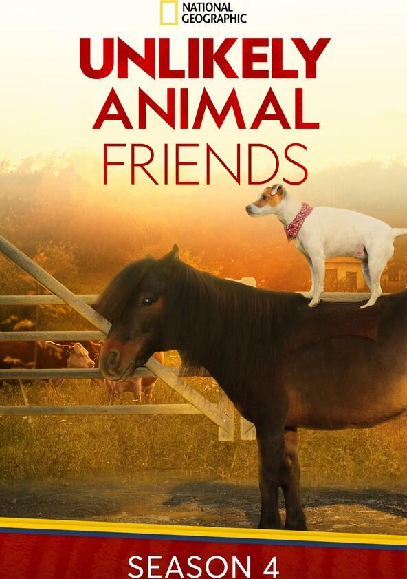 Unlikely Animal Friends - Season 4