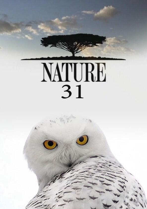 Nature - Season 31