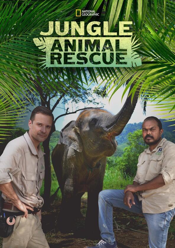 Jungle Animal Rescue - Season 1