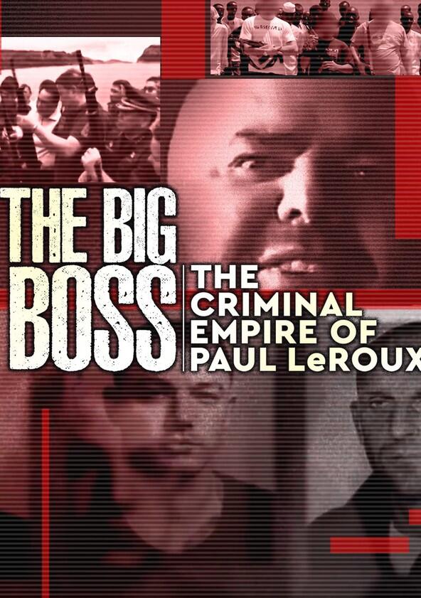 The Big Boss: A 21st Century Criminal - Season 1