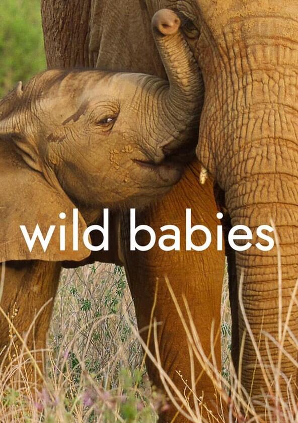 Wild Babies - Season 1