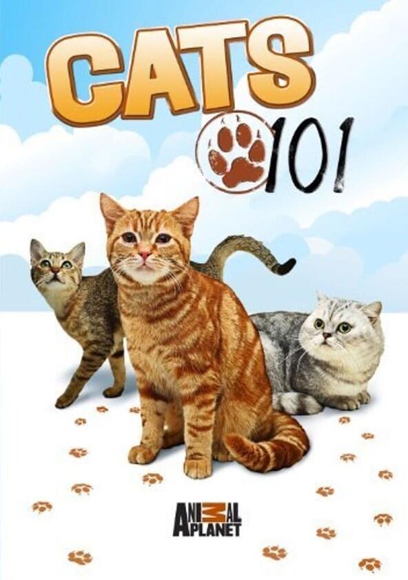 Cats 101 - Season 1