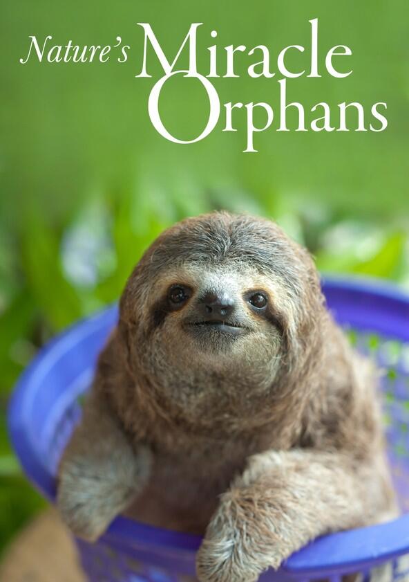 Nature's Miracle Orphans - Season 1