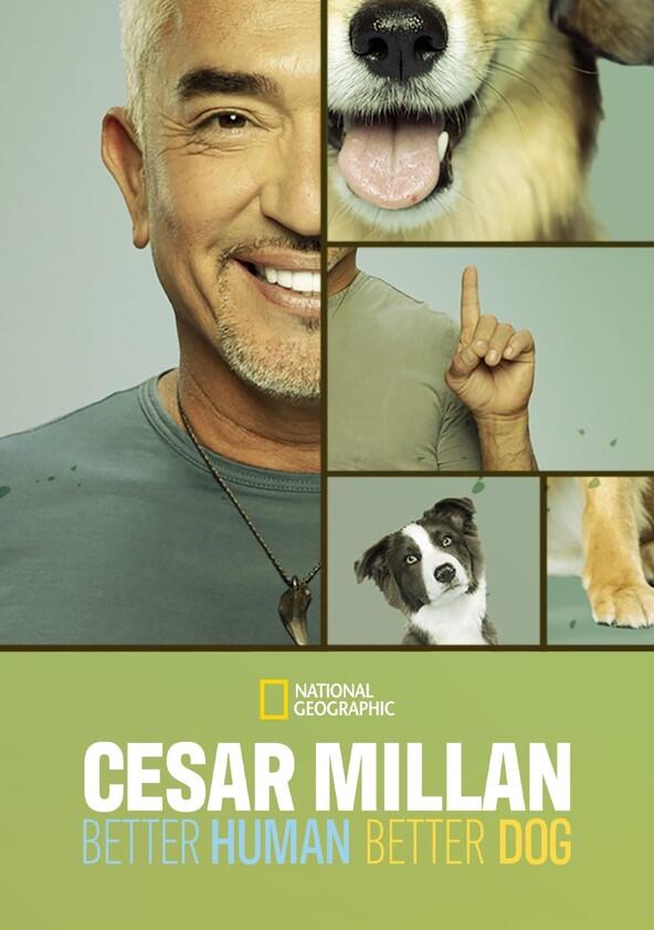 Cesar Millan: Better Human Better Dog - Season 3