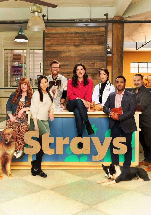 Strays - Season 1