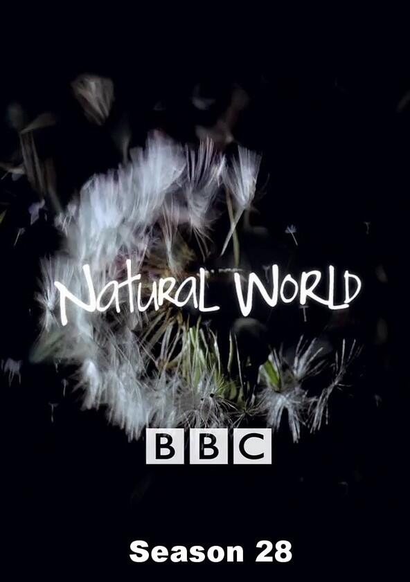 Natural World - Season 28