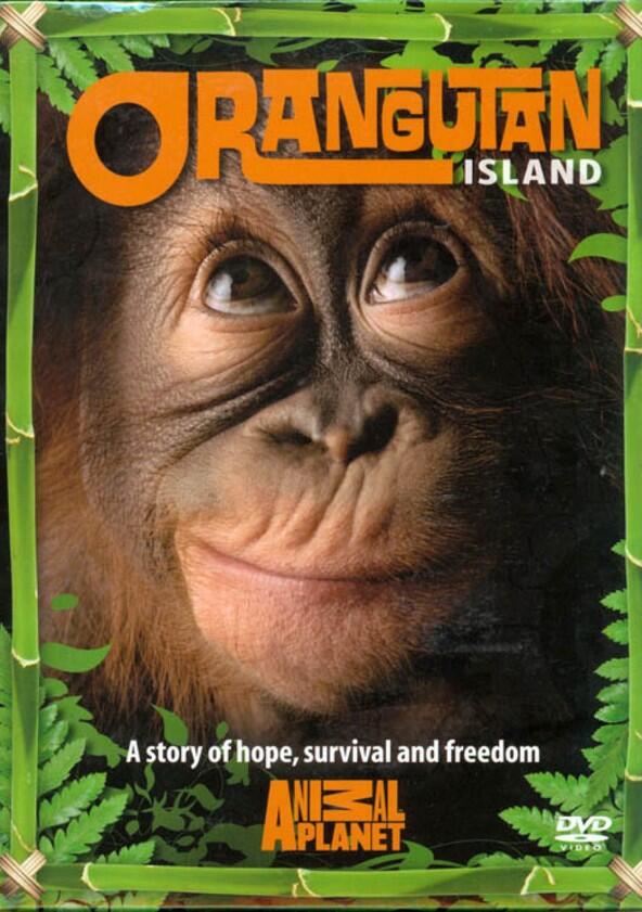 Orangutan Island - Season 1