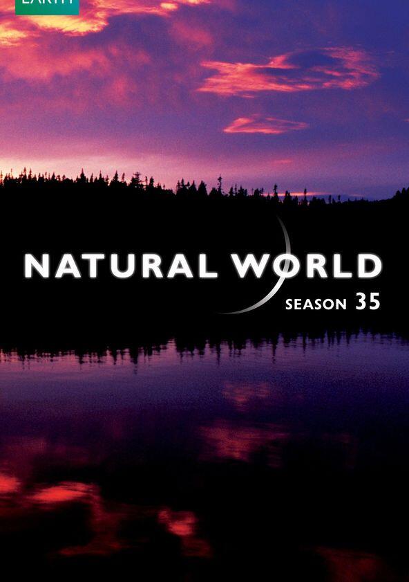 Natural World - Season 35