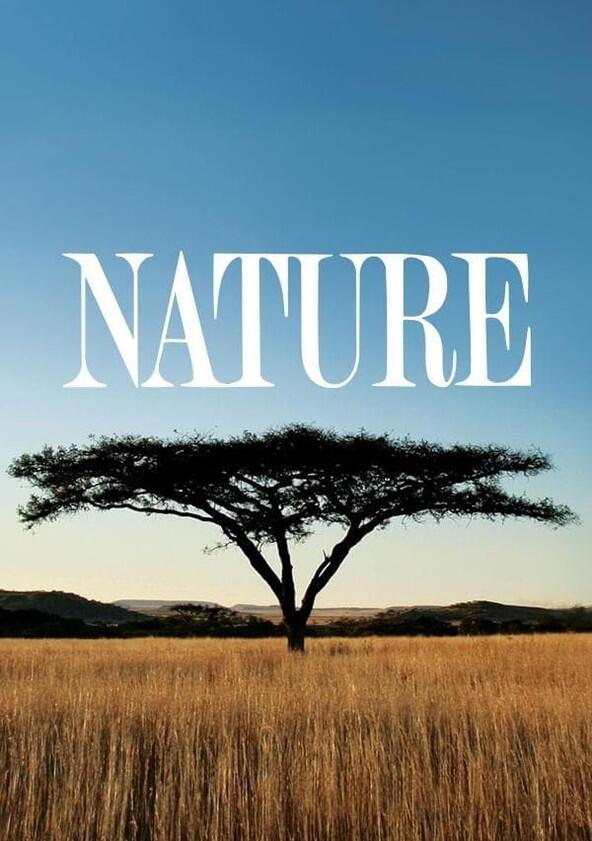 Nature - Season 4