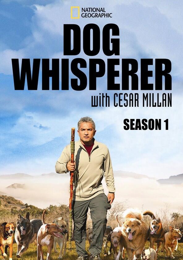 The Dog Whisperer - Season 1